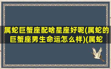 属蛇巨蟹座配啥星座好呢(属蛇的巨蟹座男生命运怎么样)(属蛇 巨蟹)